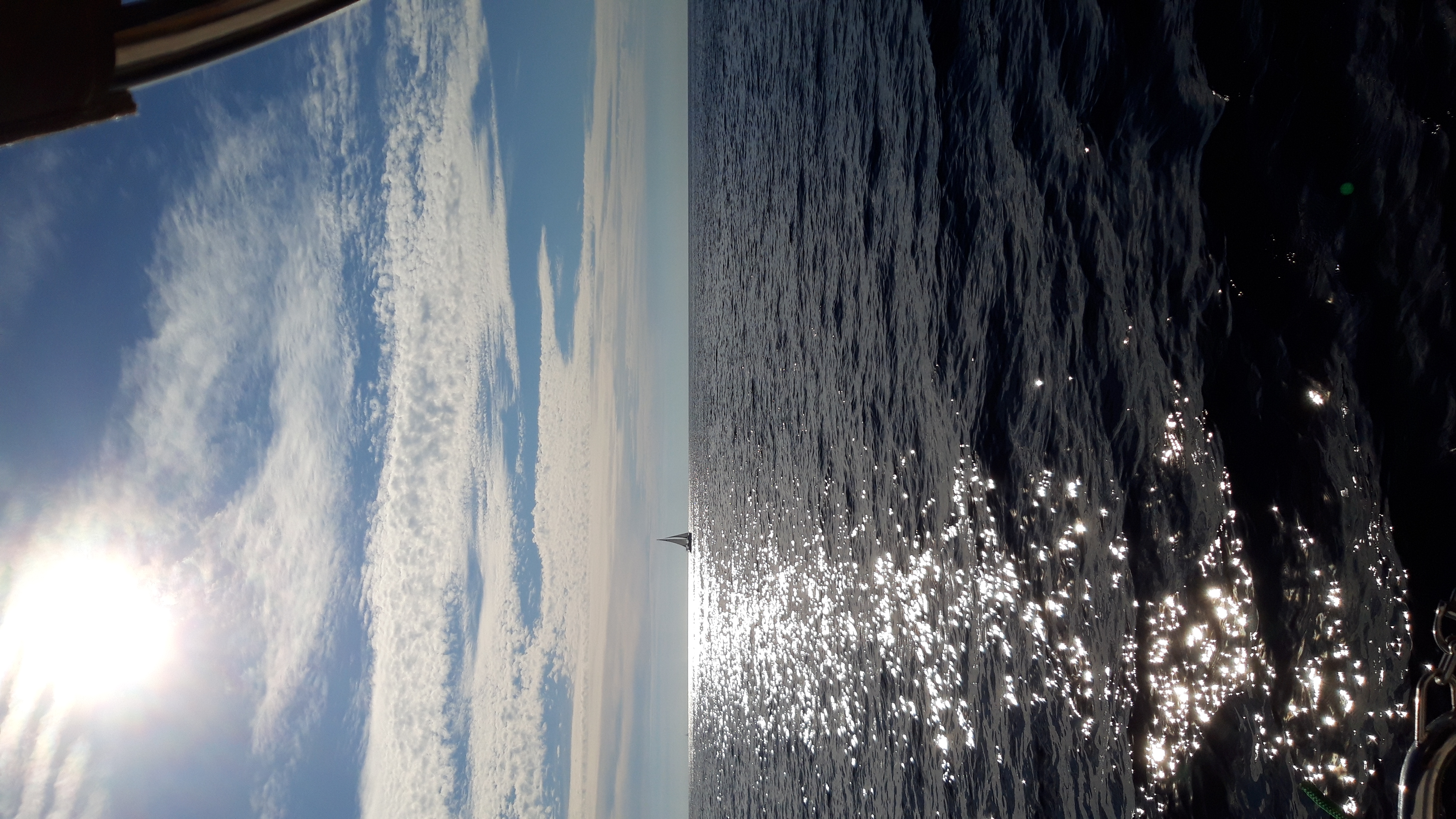 20221009_153854.jpg