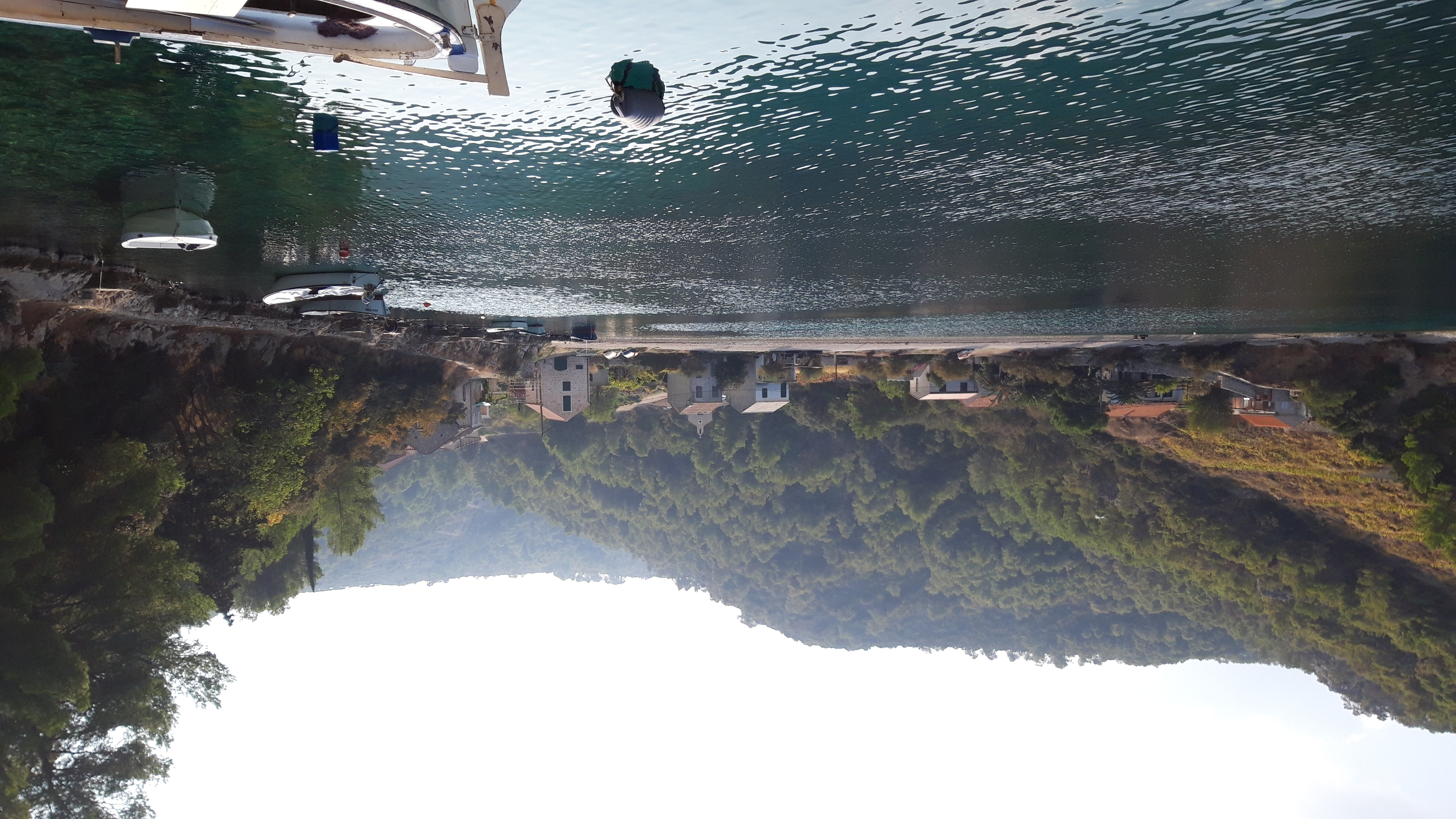 20221012_120314.jpg